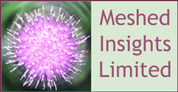 Meshed Insights logo